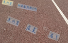 申花米內(nèi)羅13輪最佳搭配劉誠宇，前鋒表現(xiàn)決定勝負。